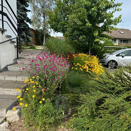 Apartmán Haus Waldeck Ühlingen-Birkendorf Exteriér fotografie