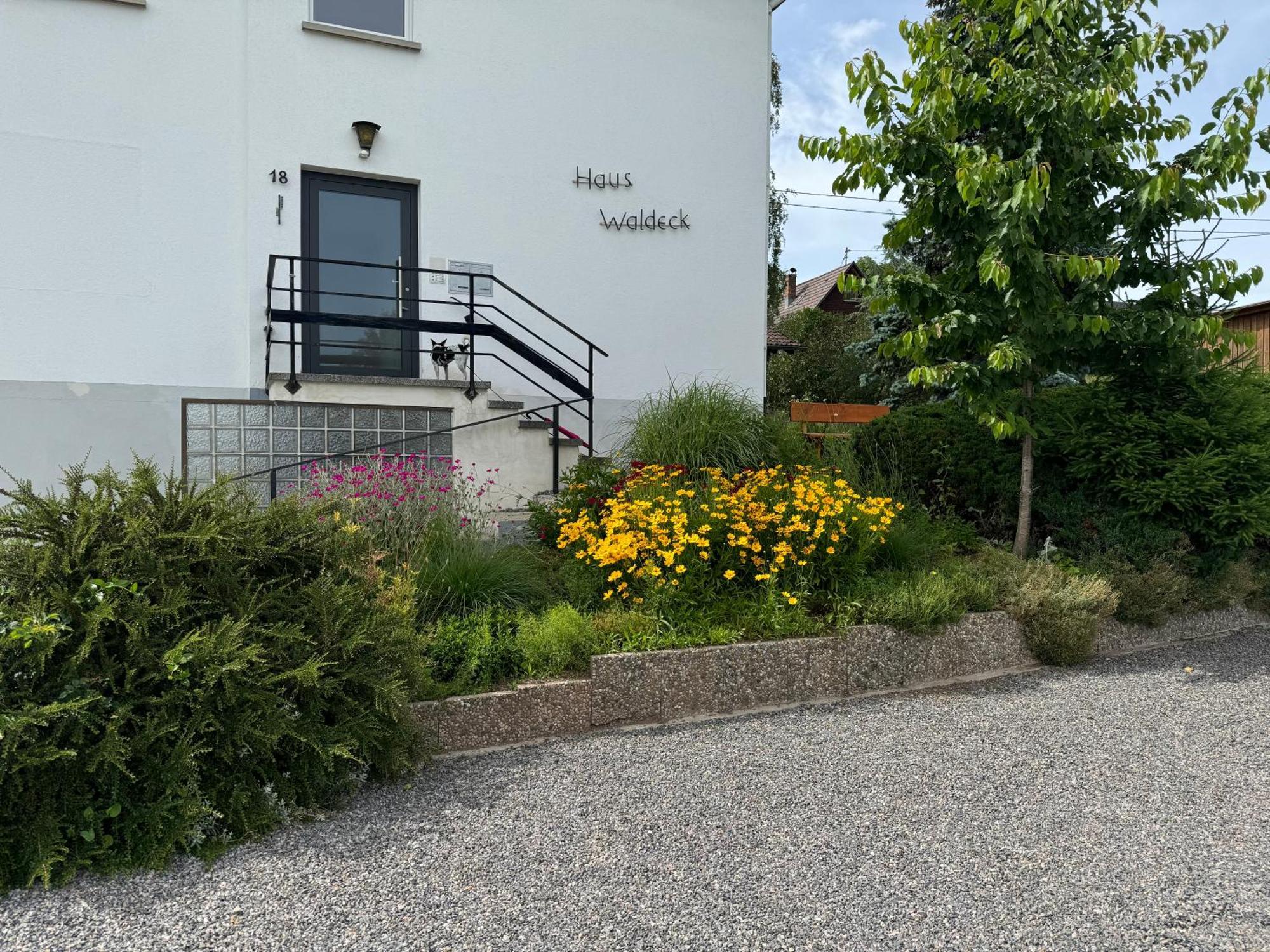 Apartmán Haus Waldeck Ühlingen-Birkendorf Exteriér fotografie