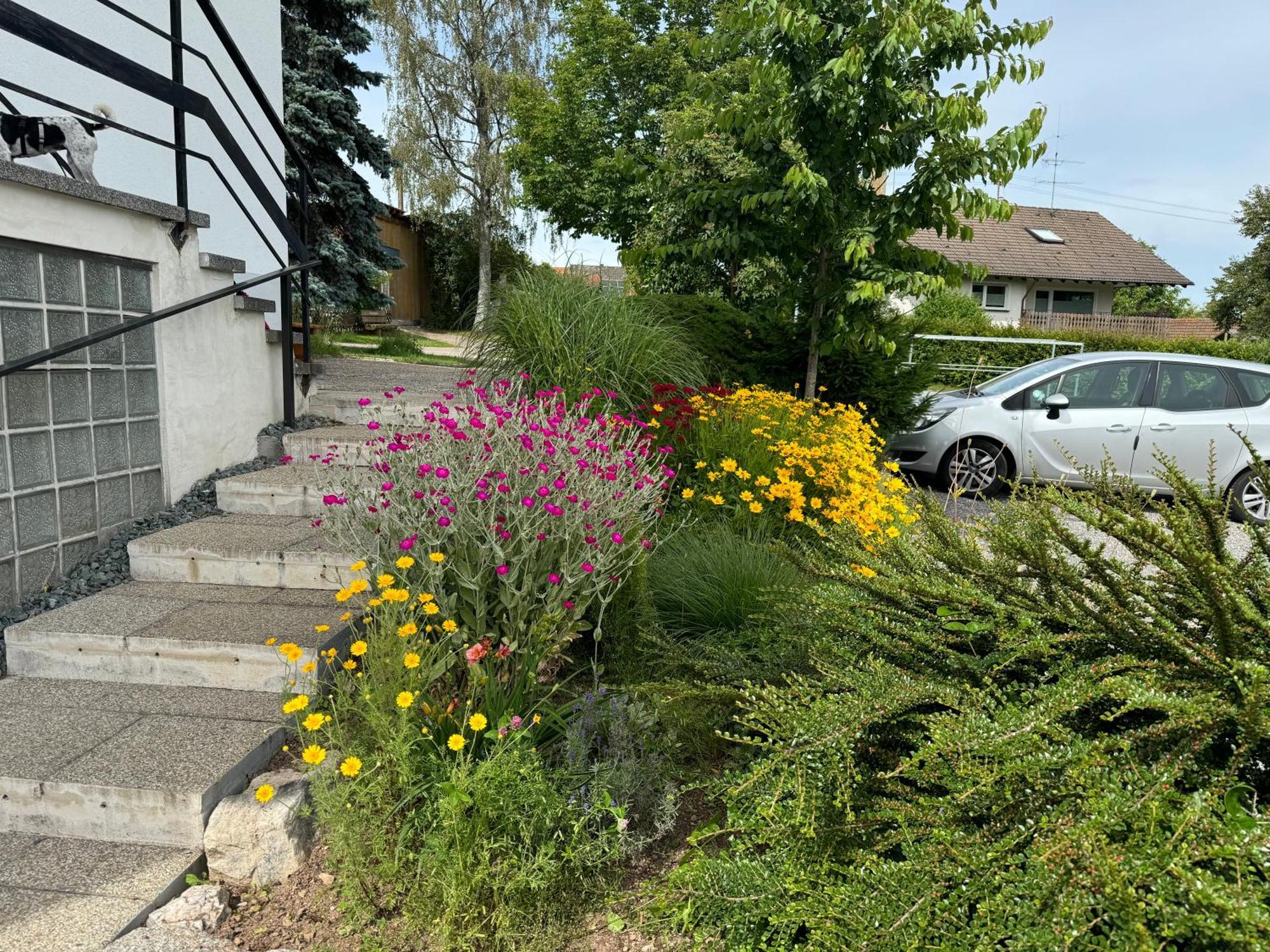 Apartmán Haus Waldeck Ühlingen-Birkendorf Exteriér fotografie