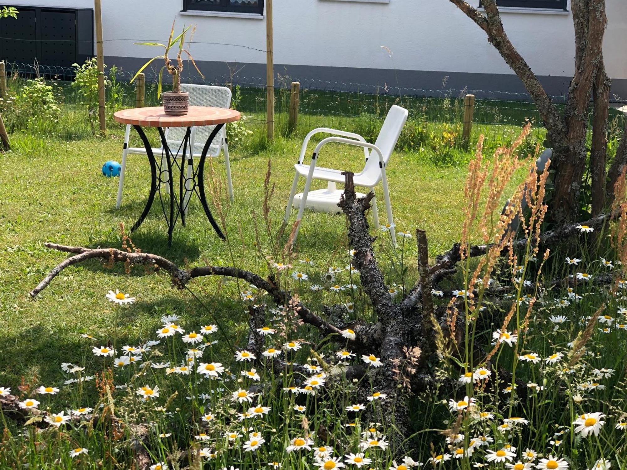 Apartmán Haus Waldeck Ühlingen-Birkendorf Exteriér fotografie